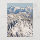 Suche nach schneebedeckte bäume postkarten Berg