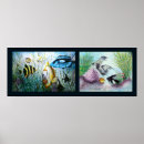 Suche nach cichlid poster Wasser