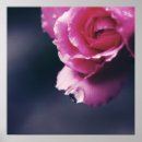 Suche nach abstrakte rose poster Natur