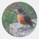 Suche nach robin aufkleber Natur