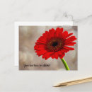 Suche nach roter gerbera karten Durchtränkt