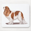 Suche nach spaniel mousepads Kavalier