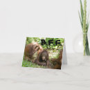 Suche nach zucht karten Lustig