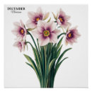 Suche nach dezember poster Blume