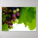 Suche nach weinstock poster Natur