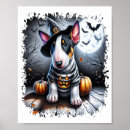 Suche nach bull terrier poster Hund