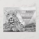 Suche nach wild lebende tiere postkarten Wildtiere