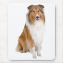 Suche nach collies mousepads Welpen