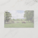 Suche nach lassen sie weiden visitenkarten Viehbestand