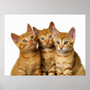 Suche nach best friend poster Für kinder