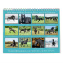 Suche nach fohlen kalender Stute