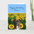 Suche nach birthday boxer karten Hund