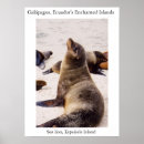 Suche nach seelöwen poster Meer