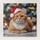 Suche nach shorthair Weihnachten