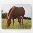 Suche nach domestiziert mousepads Pferd