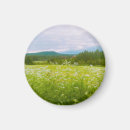 Suche nach sommer blumen magnete Sonnenschein