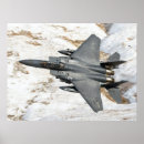 Suche nach f 15 poster Adler