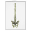 Suche nach wirbelsäule postkarten Frontansicht