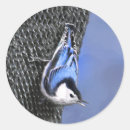 Suche nach vogelkunst aufkleber Vogelvogel