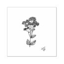 Suche nach sediment Blume
