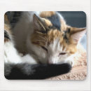 Suche nach pause mousepads Entspannt
