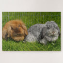 Suche nach rabbit puzzle Tier