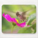Suche nach kolibri mousepads Wild lebende tiere