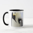 Suche nach kaiser pinguin tassen Pinguine