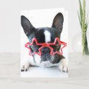 Suche nach brille karten Bulldogge