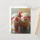 Suche nach niedliches schwein postkarten Bezaubernd