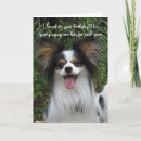 Suche nach papillon waren karten Hunde