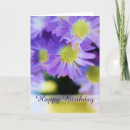 Suche nach lila aster Bouquet