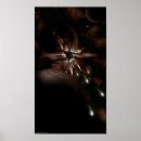 Suche nach weltweit poster Planet