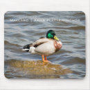 Suche nach wir ziehen um elektronik zubehör Mallard