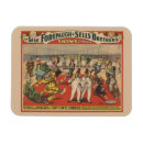 Suche nach zirkus magnete Adam forepauke