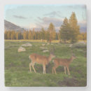 Suche nach leute untersetzer Reisebestimmungsorte