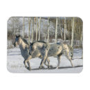 Suche nach winter wunderland karten Fantasie