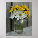 Suche nach auge poster Fotografie