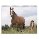 Suche nach colt kalender Foal