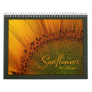 Suche nach sonnenblume kalender Blumen