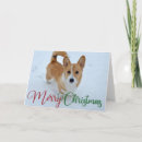 Suche nach weißer schwanz karten Niedlich