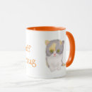 Suche nach kittens tassen Niedliche kätzchen