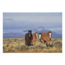 Suche nach säugetier poster Fauna