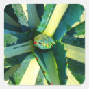 Suche nach agave aufkleber Muster