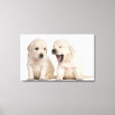 Suche nach brüssel leinwandbilder Studioschuß