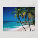 Suche nach palmenstrand poster Natur