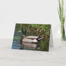 Suche nach drake karten Niedlich