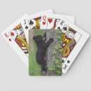Suche nach wildlife spielkarten Superstock