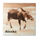 Suche nach elch fliesen Alaska