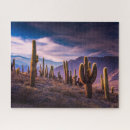 Suche nach wüsten puzzle Kaktus